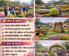 Colorful promotional poster of Noida Flower Festival 2026 at Shivalik Park, Sector 33A, showcasing vibrant flower displays, themed gardens, and event details from February 19 to 22 with free entry.