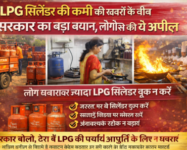 LPG gas cylinders and kitchen scenes infographic about government advisory on LPG supply in India
