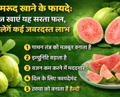 amrud-khane-ke-fayde-roz-khane-se-milenge-labh