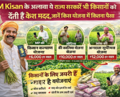 Infographic showing state government schemes giving cash assistance to farmers besides PM Kisan scheme in India